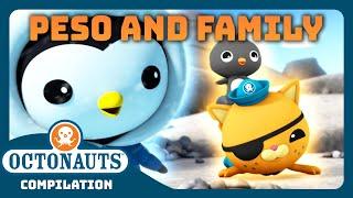 @Octonauts -   Peso and Family ️ | 2 Hours+ Full Episodes Marathon | World Penguin Day Special!