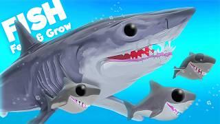 Raising An ADORABLE Mako Shark Family! | Feed & Grow Fish