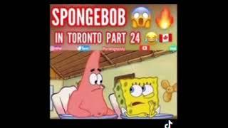 Toronto Guy Cody spongebob parody