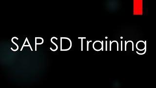 SAP ECC SD Training - Common Master Data (Video 9) | SAP SD