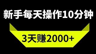 新手网赚，分享网上赚钱项目！每天操作10分钟，3天赚了2000！无偿新手教程轻松赚钱上手！