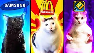 Meme Cats: Different Universes (2)