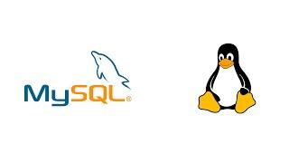 КАК УСТАНОВИТЬ MYSQL SERVER С PHPMYADMIN НА UBUNTU/DEBIAN??