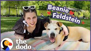Beanie Feldstein’s Dodo Dream Date Gets Very Emotional | The Dodo