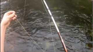 Russian River Slowmo Fish Catch 1