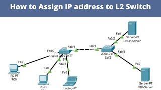 How to Assign IP Address on CISCO Switch | Networkforyou | CCNA 200-301
