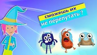 ЗАПОМНИ всех монстриков. Пройди тест на внимание!