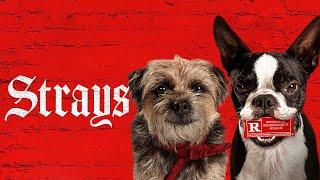 Strays (2023) Movie | Will Ferrell , Jamie Foxx,Isla Fisher |Fact & Review