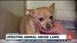 Updating animal abuse laws