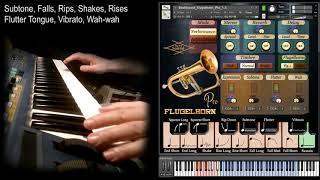 Best-Sound Flugelhorn sound library for Native Instruments Kontakt sampler. Brass woodwind vst