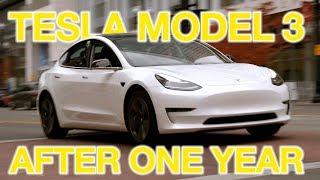 The TRUTH About Tesla Model 3 After 1 Year...