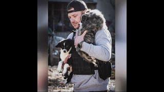 Rescue group of ex-military save animals from Ukraine war zone