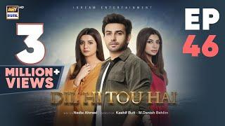 Dil Hi Tou Hai Episode 46 | Ali Ansari | Zoya Nasir | 22 Nov 2023 | ARY Digital