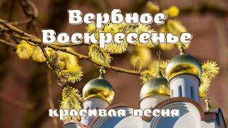 С Вербным Воскресеньем! Красивое поздравление на Вербное Воскресенье.