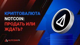 Что такое криптовалюта Notcoin, как продать и перспективы