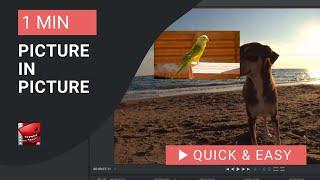 Lightworks Tutorial: How to Make Picture in Picture in Lightworks