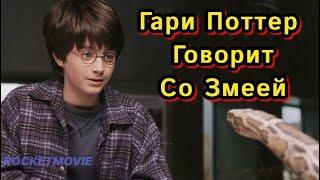 Гари Поттер говорит со змеей \ Фильм Гарри Поттер 2001 \ Что Посмотреть?