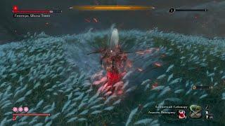 Sekiro иссин мастер меча для ленивых