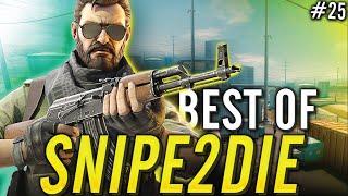 CS:GO - BEST OF Snipe2Die #25