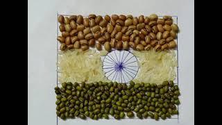 indian flag using food grains Independence day special #flag #flag making