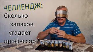 КАК ВЕРНУТЬ ОБОНЯНИЕ? + ЧЕЛЛЕНДЖ