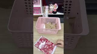 Satisfying with packing order| Đóng gói đơn hàng #asmr #relax #satisfying