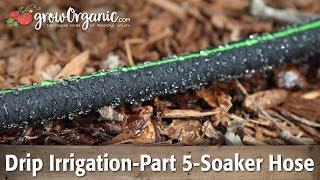 Drip Irrigation-Part 5-Using Soaker Hose in the Garden