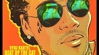 VYBZ KARTEL - BEAT UP THE CAT - MKS BOASTY REMIX