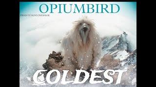 [FREE FOR PROFIT] Opiumbird type beat coldest @yungvlonesmok