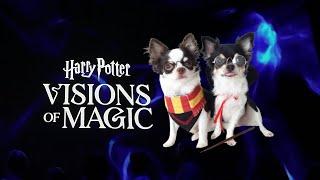 🪄 Harry Potter: Visions of Magic in Resort World Sentosa