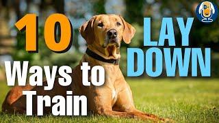 10 Ways To Teach A Dog To Lay Down And How To Shape It Without Luring #145 #podcast