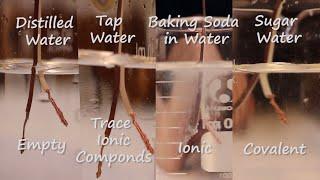 Testing the Electrical Conductivity Of Water | Science Experiment