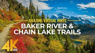 4K Virtual Hike Near River through the Forest - Baker River Trail & Chain Lake Trail
