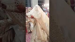 Ankita lokhande looking stunning at bridal entry #shortvideo #shortsfeed #shorts #youtubeshorts