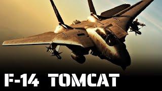  F-14 Tomcat : le LÉGENDAIRE CHASSEUR de l’US NAVY - Documentaire