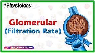 Glomerular filtration rate - Usmle Renal Physiology Animations