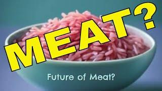 Could Rice Become The Future Of Meat?