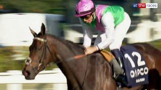 Proper filly! KALPANA shines under William Buick on British Champions Day at Ascot