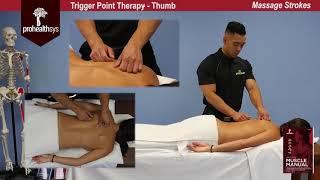 Awesome Massage Trigger Point Therapy Dr. Vizniak