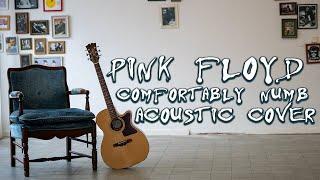 Comfortably Numb - Acoustic Cover | Vedran Covers