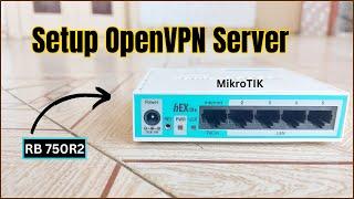 RouterOS 7 - How to Setup OpenVPN Server in MikroTik (2024)