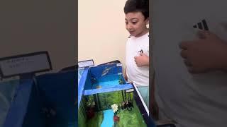 Animal Habitats science project learn with saleh