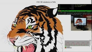 WPE SVG Transformations and Hardware Acceleration