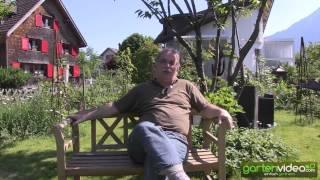 Gartenvideo auf Youtube