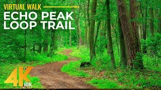 Sunny Day Hike on Echo Peak Loop Trail - 4K HDR Forest Scenery with Real Footsteps Sounds