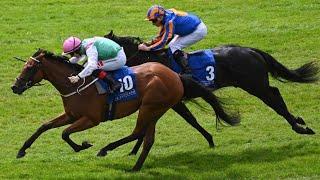 Exciting Guineas prospect BABOUCHE remains unbeaten at the Curragh | Racing TV