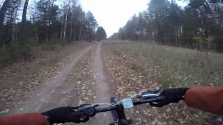 Bicycle ride in the forest, Sarov, Russia