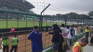 AREMANIA ONGIS NADE