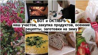 ОСЕННИЙ ВЛОГ | НАШ УЧАСТОК. СУШУ ГРЕЦКИЕ ОРЕХИ. ЗАКУПКА ПРОДУКТОВ ТЫКВЕННЫЙ СУП. ХЛЕБ #юлияпушнегина