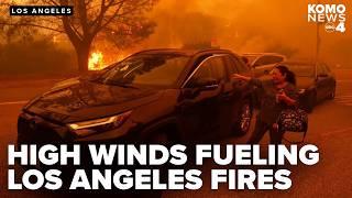 Deadly LA wildfires explained: How high winds have fueled a dangerously fast and 'rare' January fire